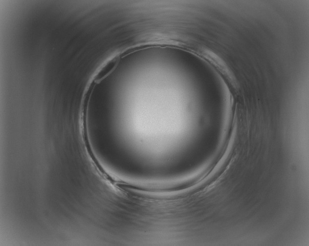 X0000073451188200607281213