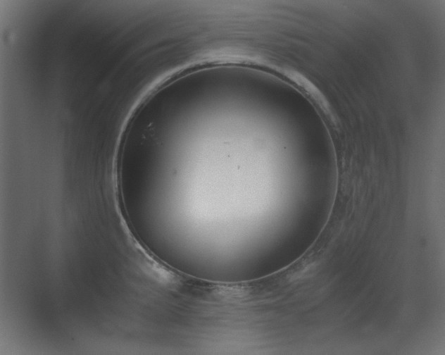 X0000073451191200607281213