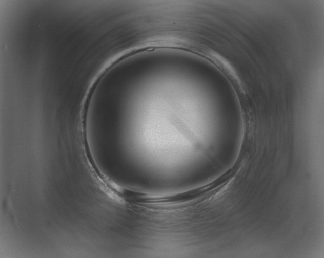 X0000073451192200607281213