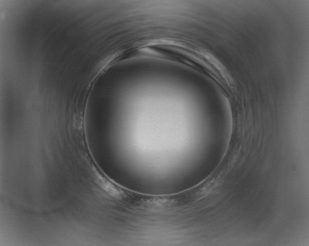 X0000073451193200607281213