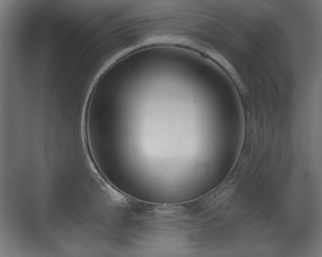 X0000073451199200607281213