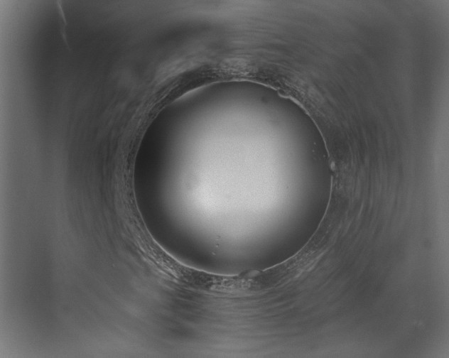 X0000073451201200607281212