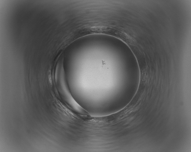 X0000073451202200607281212