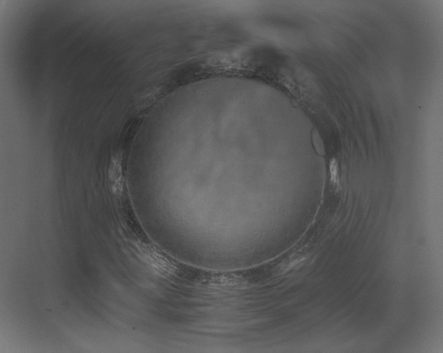 X0000073451203200607281212