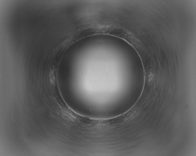 X0000073451204200607281212