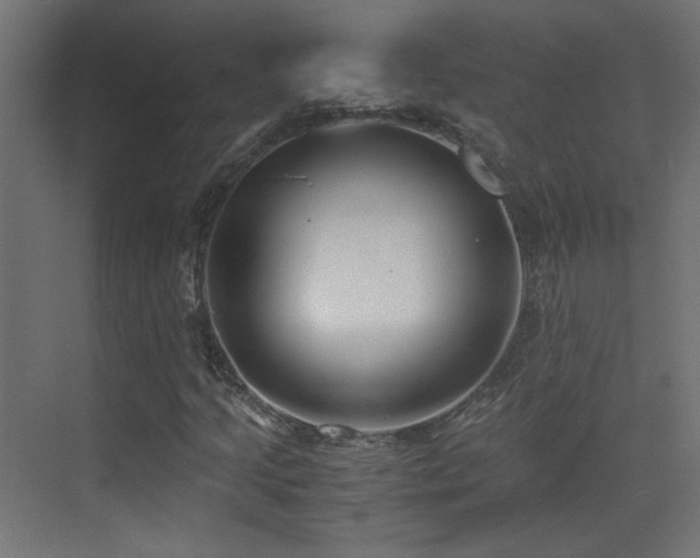 X0000073451205200607281212