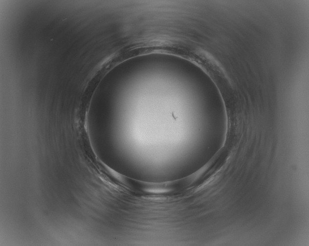 X0000073451210200607281212