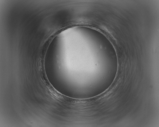 X0000073451211200607281212