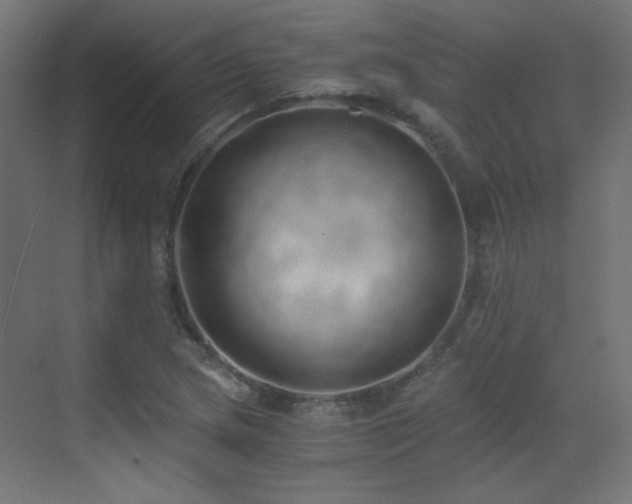X0000073451217200607281212