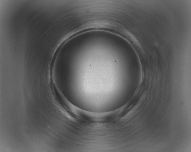 X0000073451226200607281212