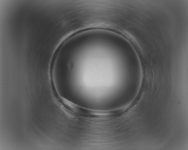 X0000073451230200607281212