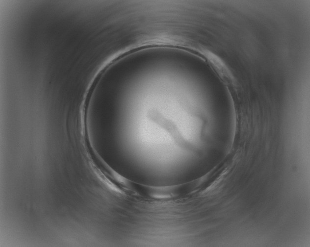 X0000073451238200607281212