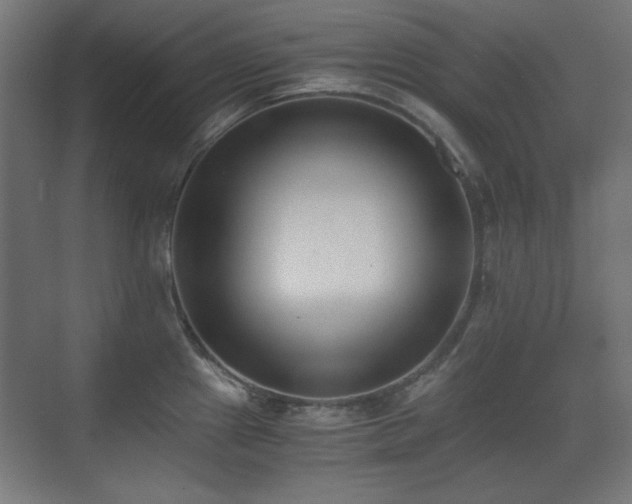 X0000073451241200607281212
