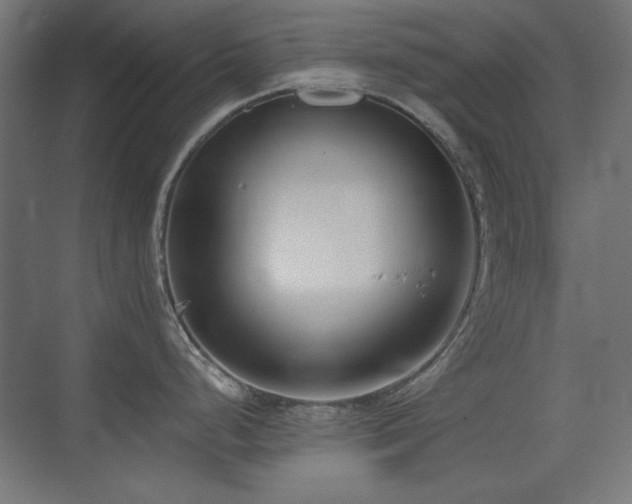 X0000073451248200607281213