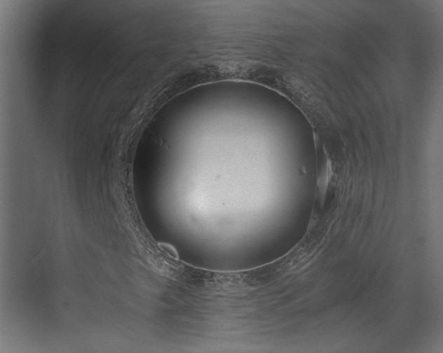 X0000073451249200607281212