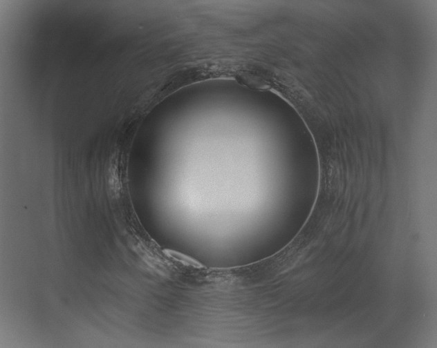 X0000073451250200607281212