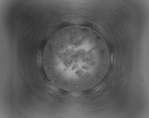 X0000073451251200607281212