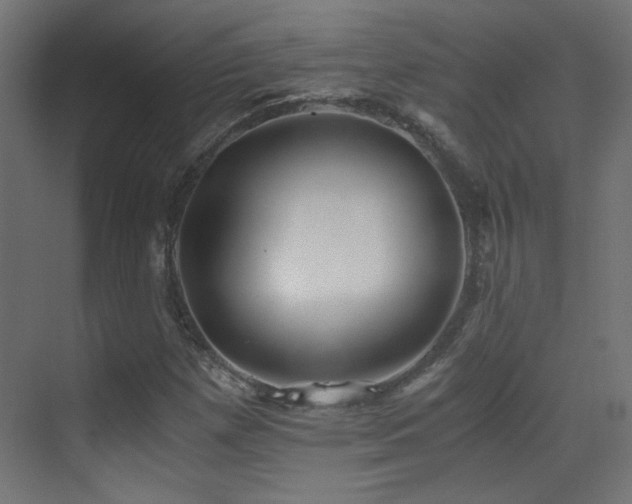 X0000073451257200607281212
