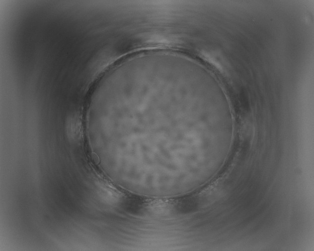 X0000073451259200607281212