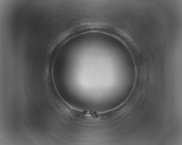 X0000073451261200607281212