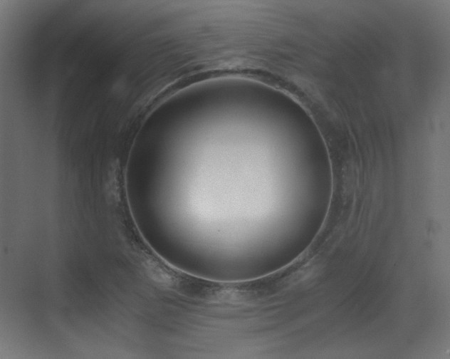 X0000073451265200607281211