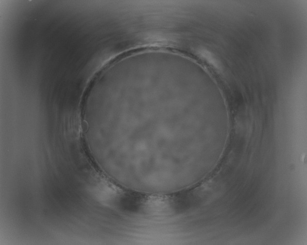 X0000073451267200607281211