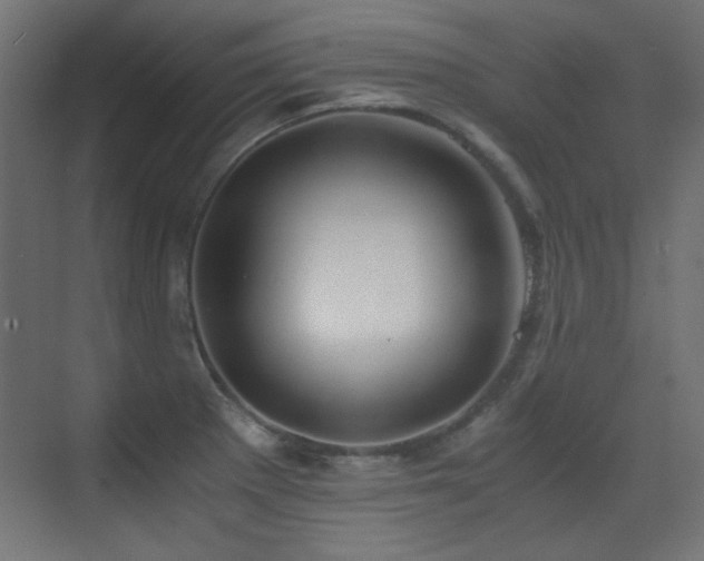 X0000073451281200607281211