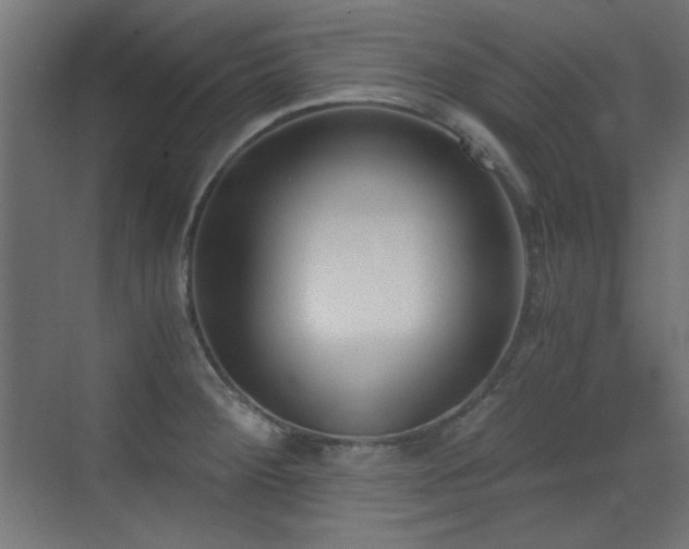X0000073451284200607281211