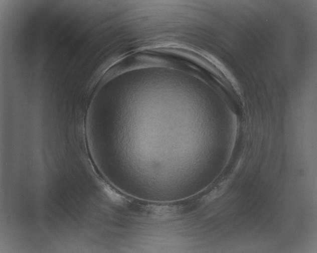 X0000073451289200607281211