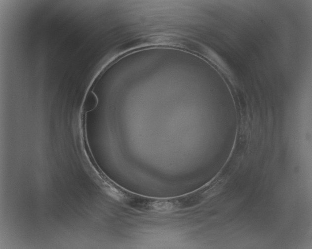 X0000073451291200607281211