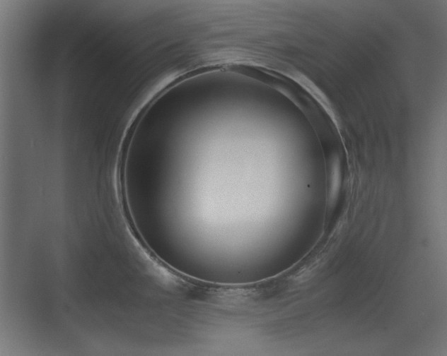 X0000073451293200607281211