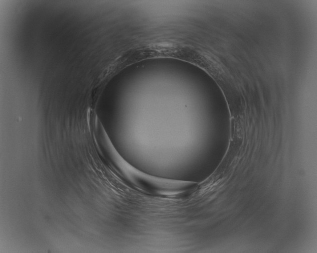 X0000073451298200607281210