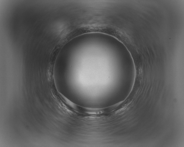 X0000073451300200607281210