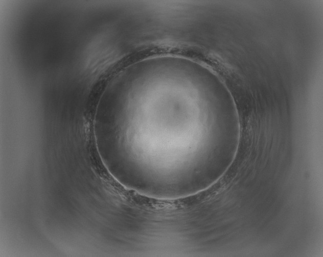 X0000073451302200607281210