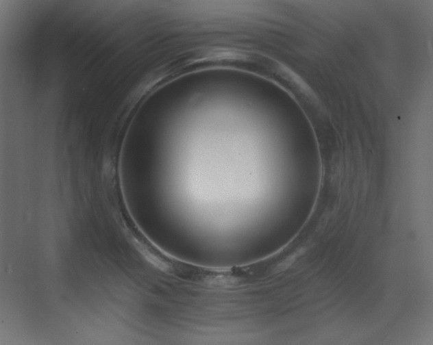 X0000073451321200607281211
