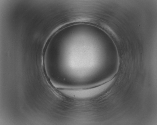 X0000073451324200607281211
