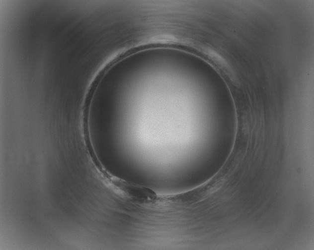 X0000073451326200607281211