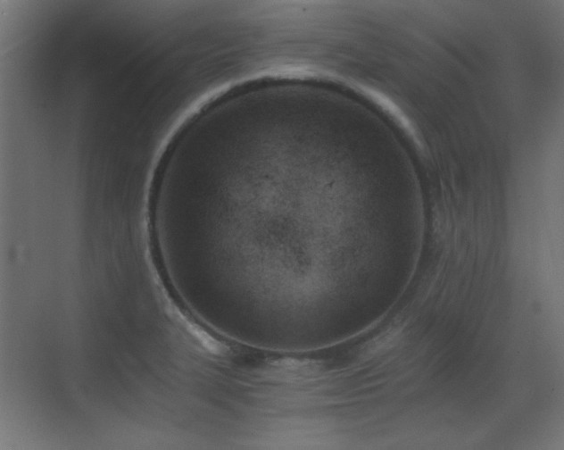 X0000073451327200607281211