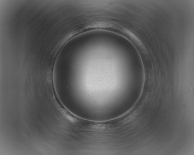 X0000073451329200607281211