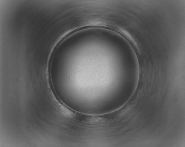 X0000073451331200607281211