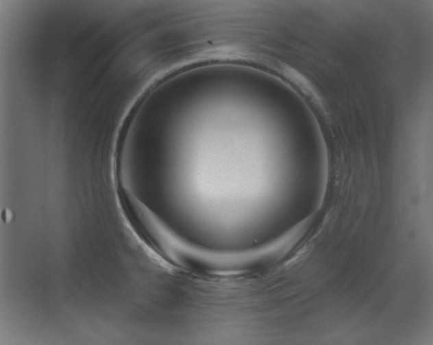 X0000073451334200607281211