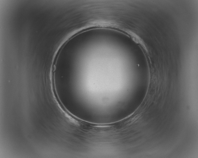 X0000073451343200607281211