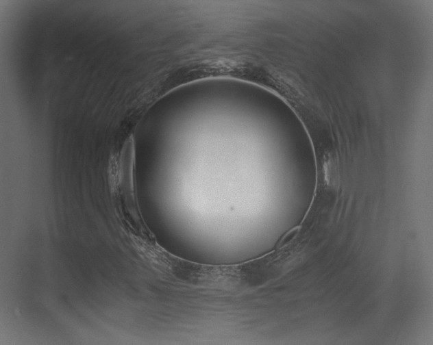 X0000073451347200607281210