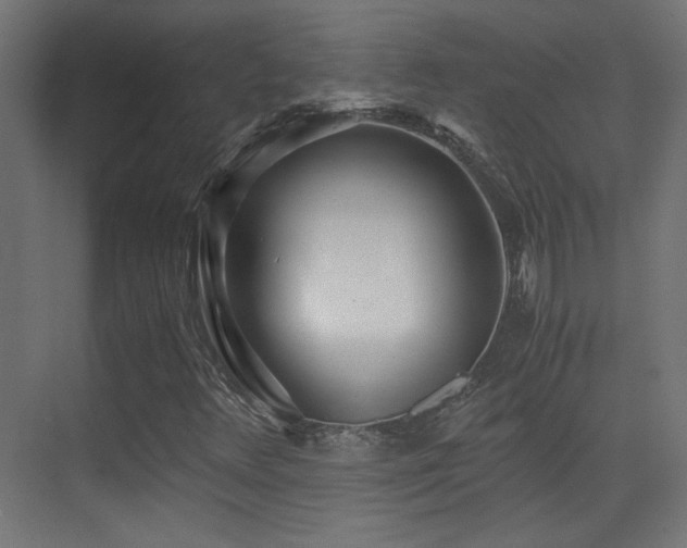 X0000073451348200607281210