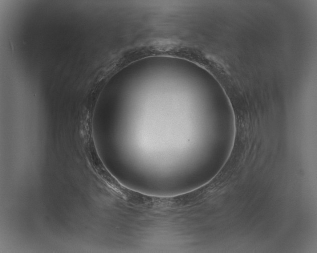X0000073451349200607281210