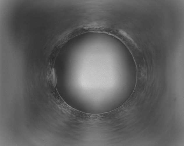 X0000073451350200607281210