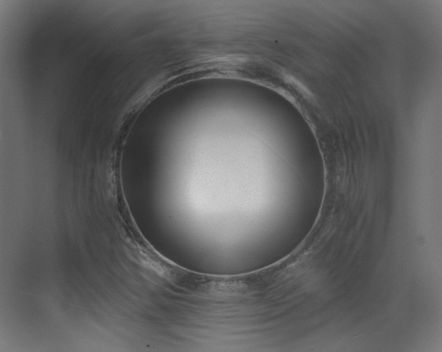 X0000073451354200607281210