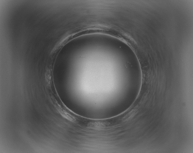 X0000073451355200607281210