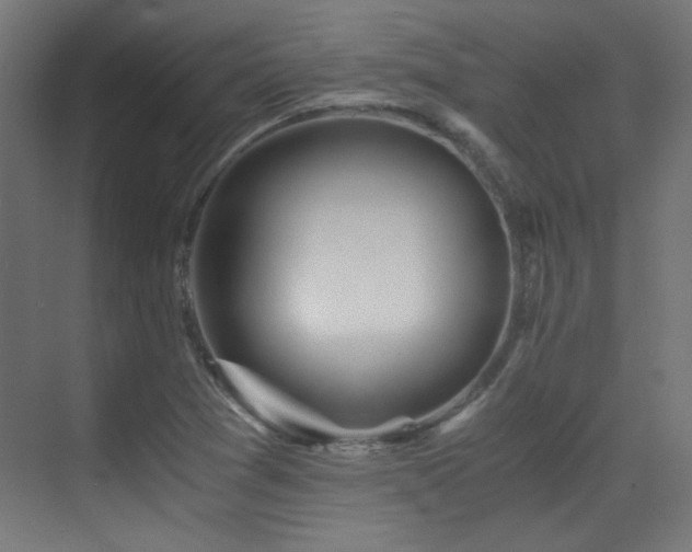 X0000073451361200607281210