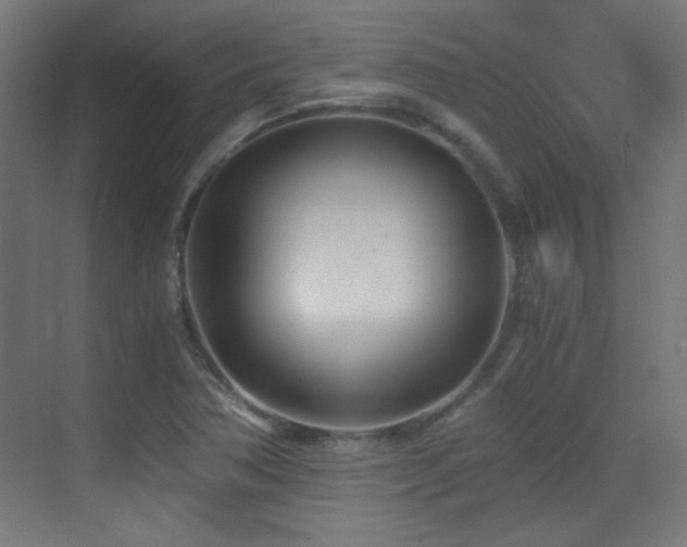 X0000073451362200607281210